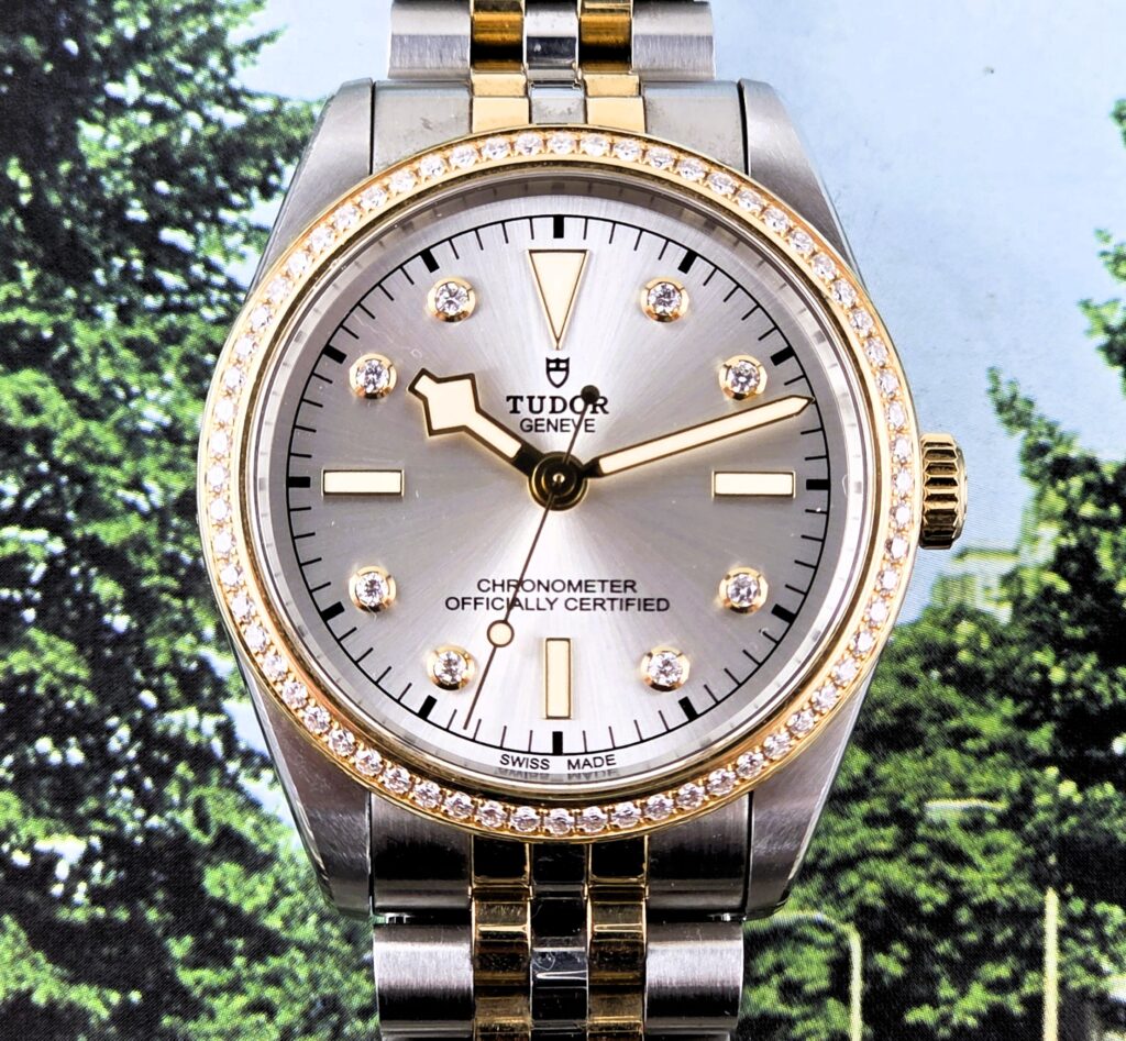 Tudor Black Bay 36 M79653 diamanti
